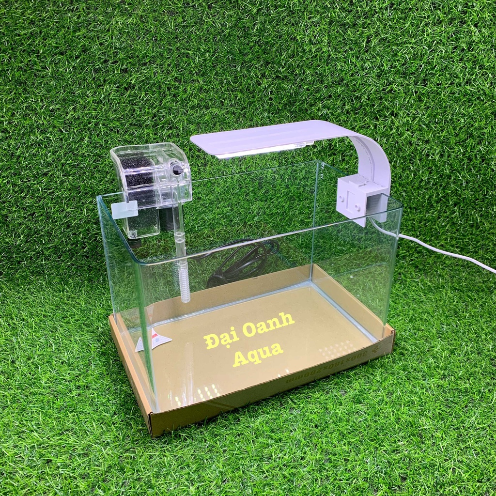 Bộ bể cá kính đúc dài 30cm, bể cá cảnh mini, bể thủy sinh