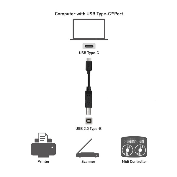[FREESHIP 99K]_Cáp máy in USB-C to USB Type B UGREEN