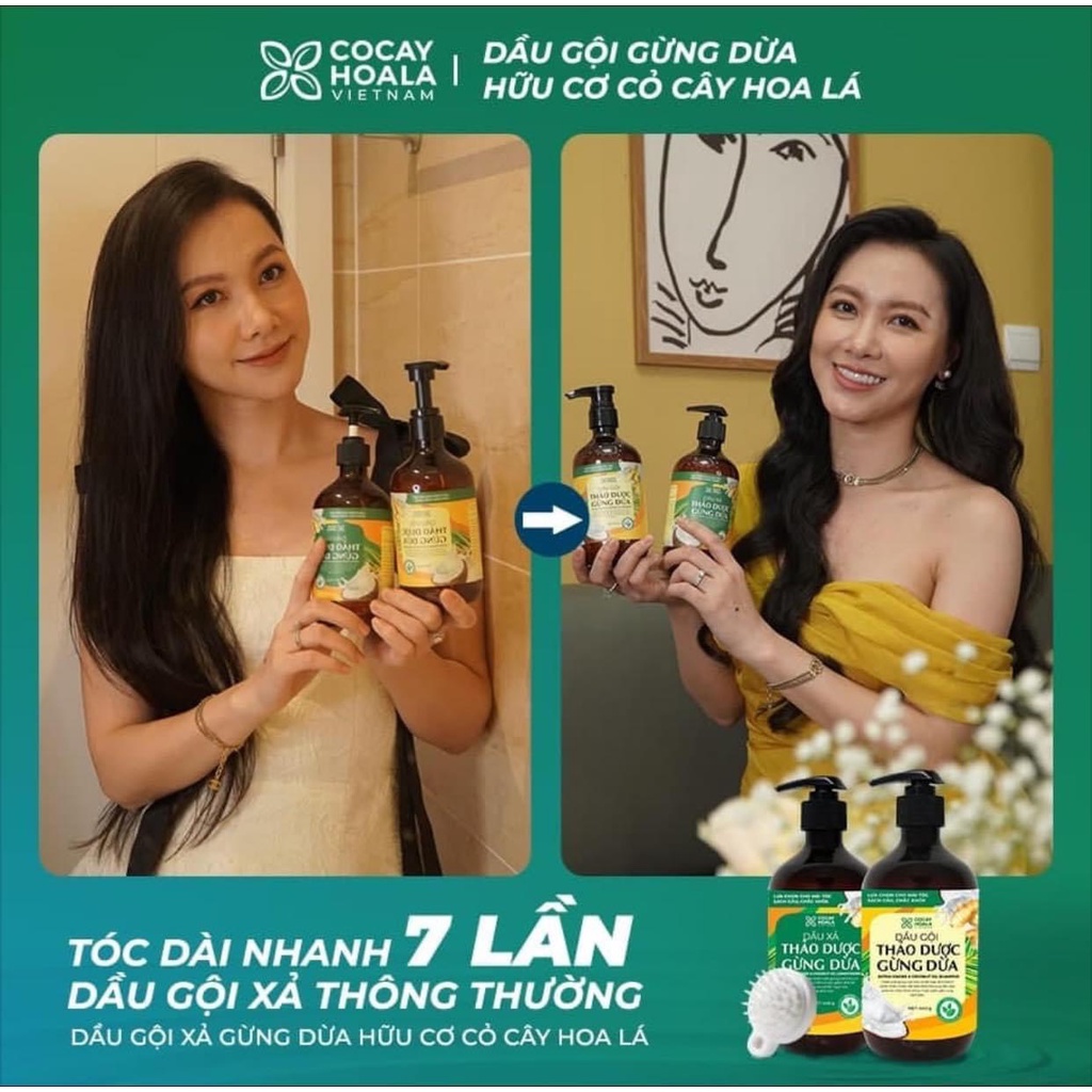 Dầu gội xả gừng dừa hữu cơ Cỏ Cây Hoa Lá - Làm sạch da đầu, dưỡng tóc, giảm gãy rụng, giảm ngứa, đánh bay gàu 440g