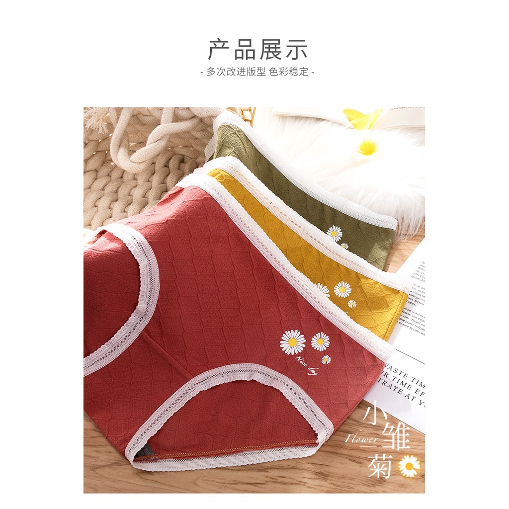 [ Chọn màu, che tên ] Quần lót quần chip cotton nữ cao cấp thoáng khí kháng khuẩn | BigBuy360 - bigbuy360.vn