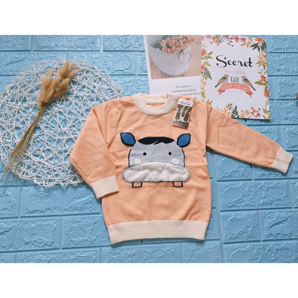 Áo Len Dài Tay Hàng Quảng Châu Nhiều Mẫu Cho Bé Trai 1-5 tuổi (10-20kg)