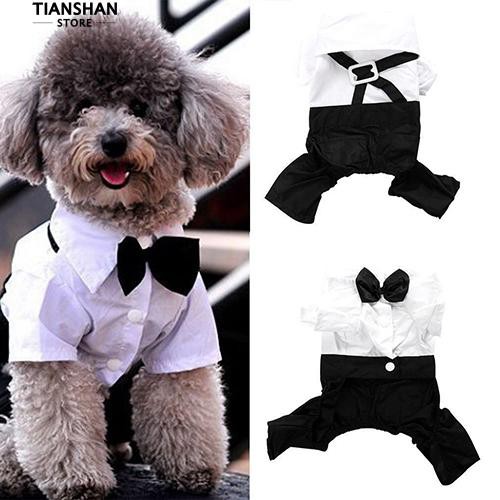 Đồ liền thân phong cách hoàng tử dễ thương cho thú cưng