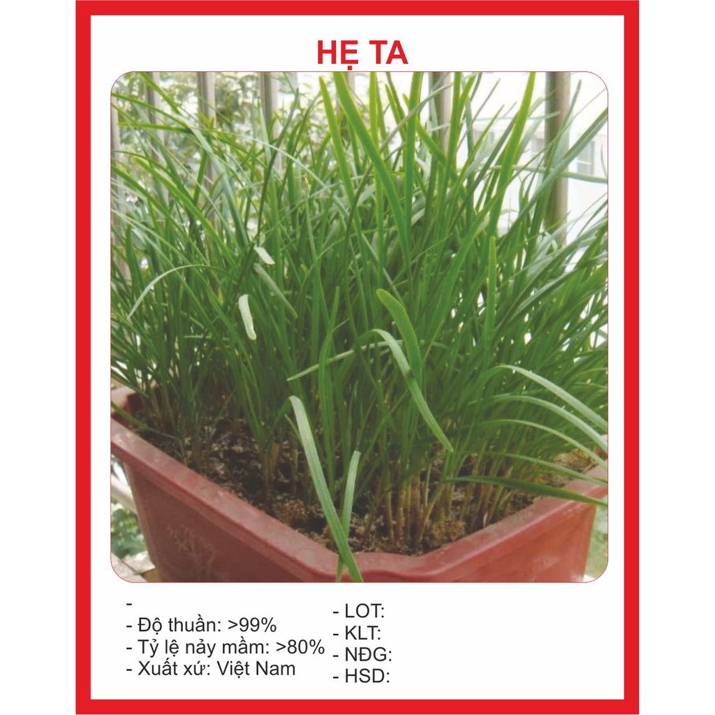 ( BOK GARDEN ) HHẠT GIỐNG HẸ TA 5GR