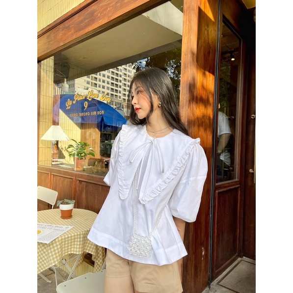 SET ÁO CỔ SEN BÈO TO + QUẦN SHORT