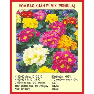 Combo hạt giống TÙY CHỌN!!!