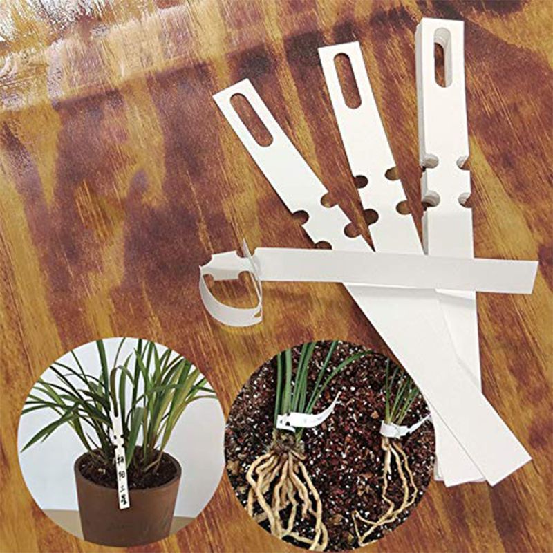 Set 100 Thẻ Ghi Tên Cây Trồng Có Thể Điều Chỉnh Kích Thước