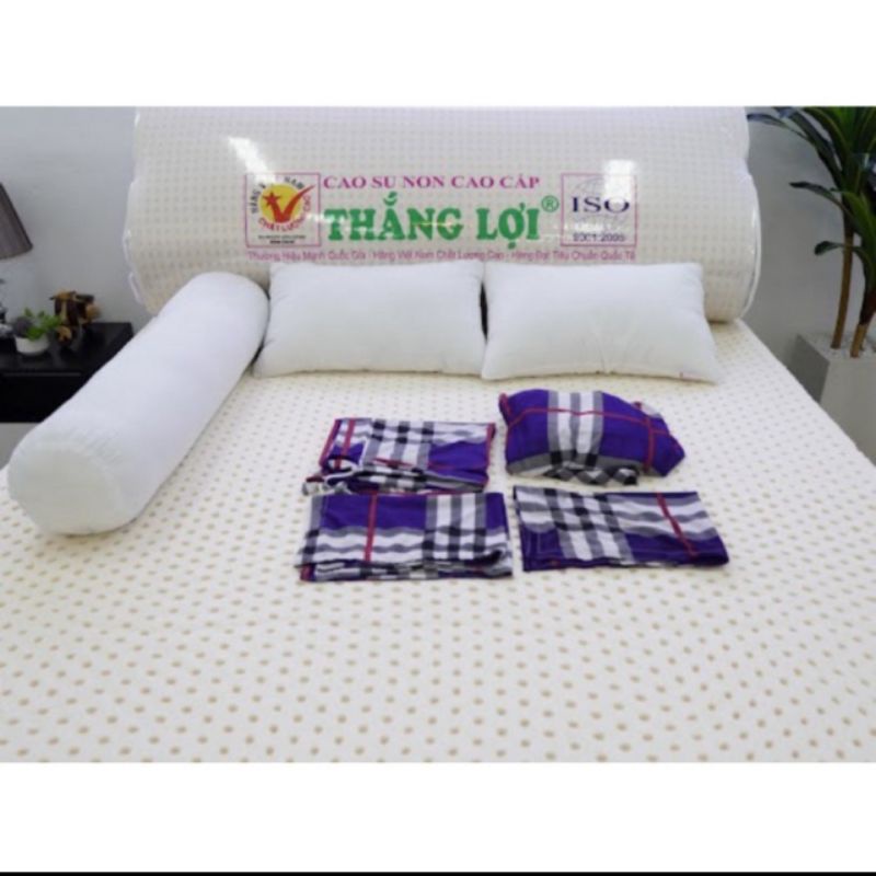 Nệm cao su non Thắng Lợi Chính Hãng