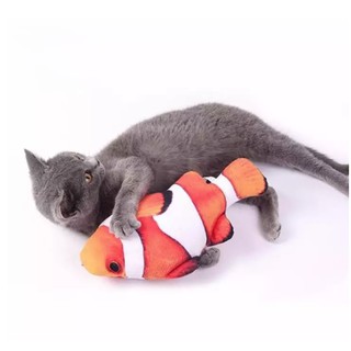 Cá catnip đồ chơi cho chó mèo