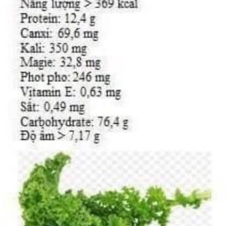 MÌ CẢI KALE ISITO