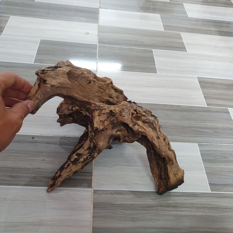 Lũa nhẹ để trang trí hồ thủy sinh