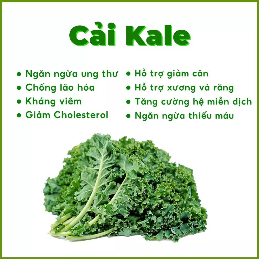 Bánh Marzipan Cần Tây Cải Kale 98G | Bánh Dinh Dưỡng Ăn Kiêng