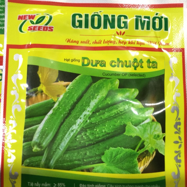 HẠT GIỐNG DƯA CHUỘT TA
