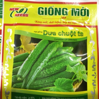 Hạt giống dưa chuột ta