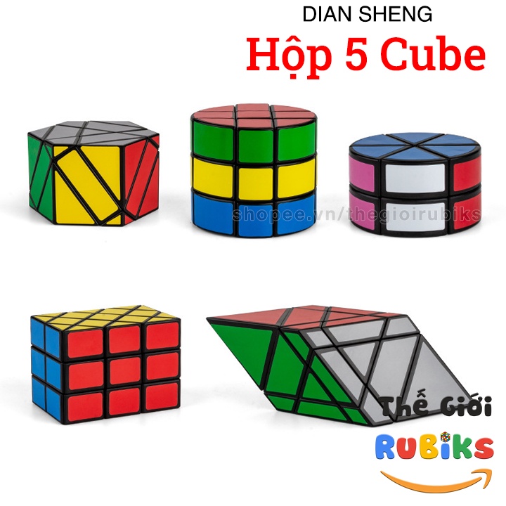 Hộp 5 Rubik Biến Thể DianSheng 2x2 Cylinder + 3x3 Cylinder + Magic Blade + Antiquity + Magic Shield Cube Viền Đen