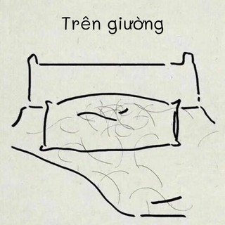 COMBO DẦU GỘI, DẦU XẢ THẢO DƯỢC  GỪNG TƯƠI