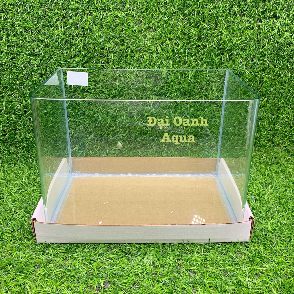 Bể Cá Kính Đúc Mini 25cm Kèm Đèn Lọc Để Bàn, Dài 25cm Rộng 16 Cao 18cm - Bể Cá Cảnh Mini