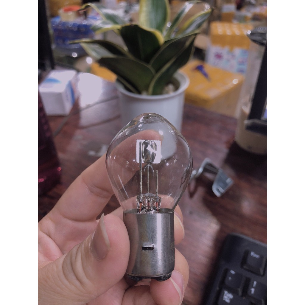 Bóng Đèn Pha Xe Điện Nijia _48V