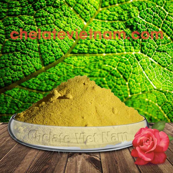 Vi lượng Sắt Chelate (Fe-EDTA-13) tan hoàn toàn trong nước (gói 100g)