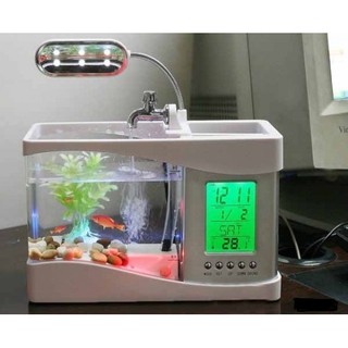 [Xả hàng] Bể cá mini phong thủy sạc USB - 2L