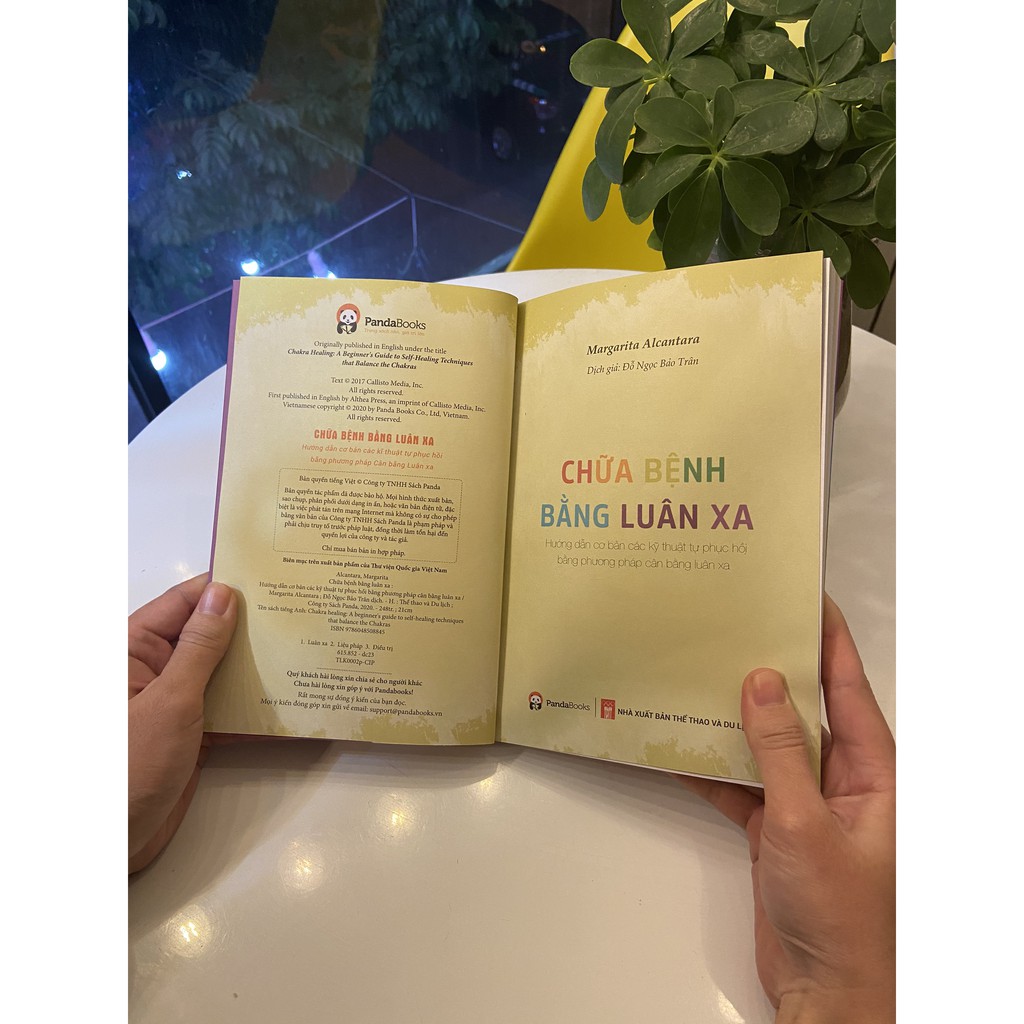 Sách - Chữa bệnh bằng luân xa - Kỹ thuật tự phục hồi bằng phương pháp cân bằng Luân xa - Pandabooks | BigBuy360 - bigbuy360.vn