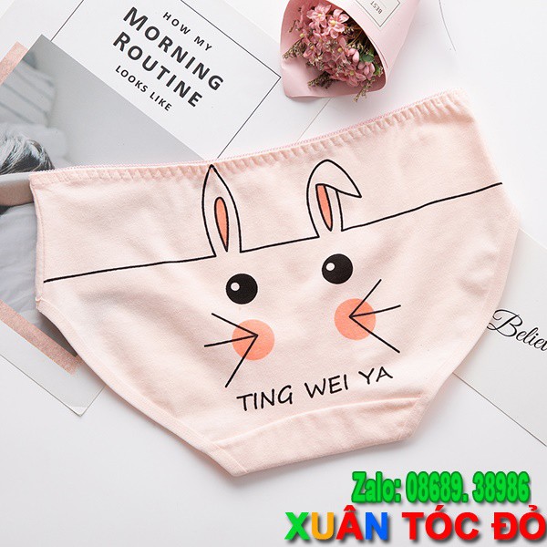 [Mã WASTDEP giảm 5K đơn bất kì] SỈ ZALO RẺ HƠN NHIỀU_ Quần Lót 5 Kiểu Mặt Loài Vật Siêu Xinh N010 | BigBuy360 - bigbuy360.vn