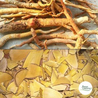 Cây mật gấu [1KG] - FG008