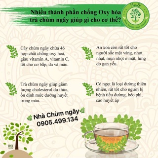 TRÀ CHÙM NGÂY MORIS