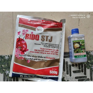 Siêu khuẩn nấm
