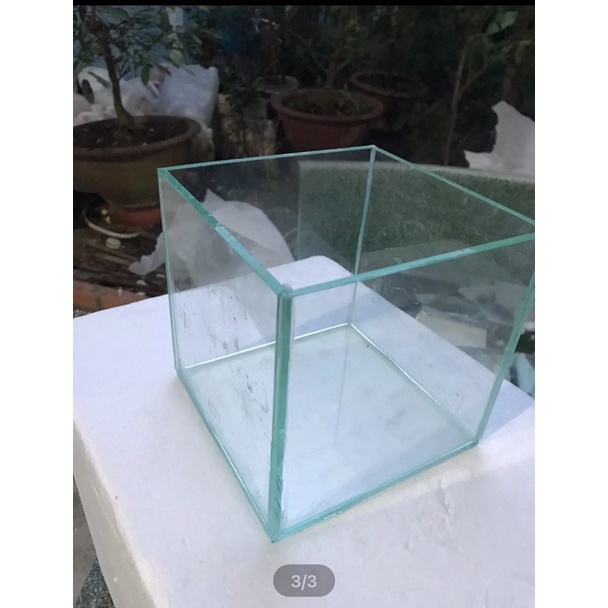 be ca 15x15x15 kinh 5ly nuôi cá