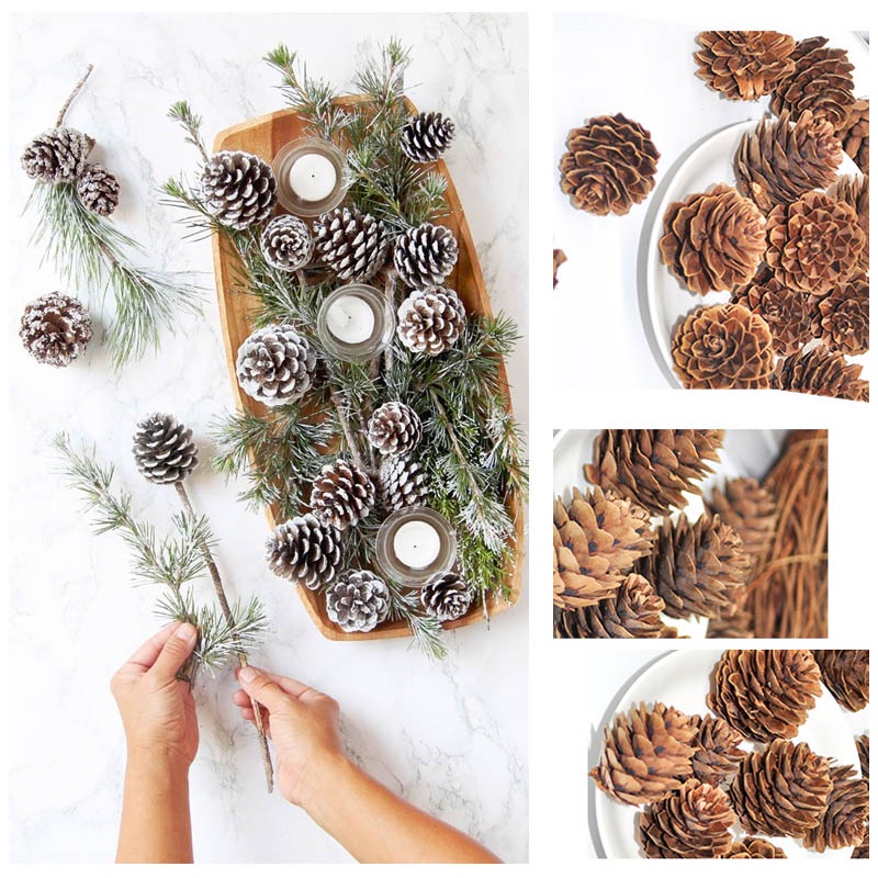 NỞ ĐỀU ĐẸP🌽Quả thông khô màu tự nhiên, màu nhũ và Lá khô trang trí Noel, phụ kiện chụp ảnh sản phẩm