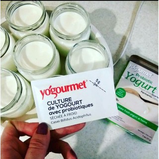 [Organic] Men Làm Sữa Chua Probiotic Yogurt lợi khuẩn cho bé Hiệu Yogourmet (T)