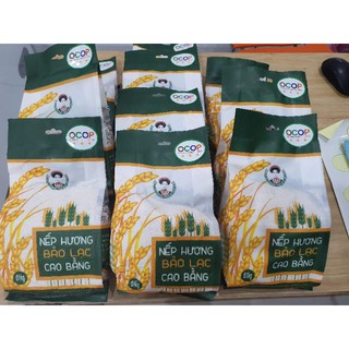 Gạo nếp hương  Bảo lạc  Cao Bằng
