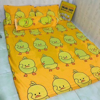 Set ga gối poly