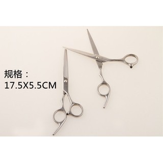 KÉO THẲNG CẮT TỈA LÔNG CHÓ MÈO 6INCH