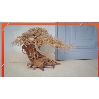 Lũa Xương Chùm 100g/30k 1kg