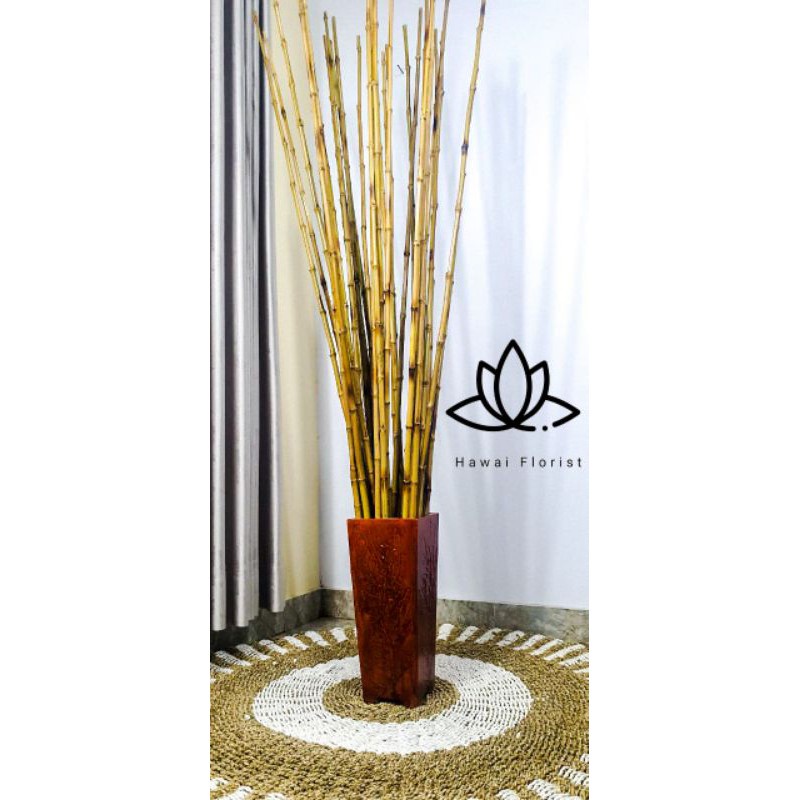 Set 10 cây tre tự nhiên 190cm chuyên dụng | BigBuy360 - bigbuy360.vn