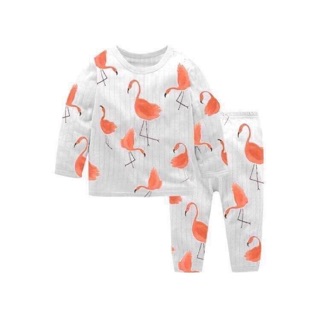 Combo 5 bộ cotton giấy cho bé
