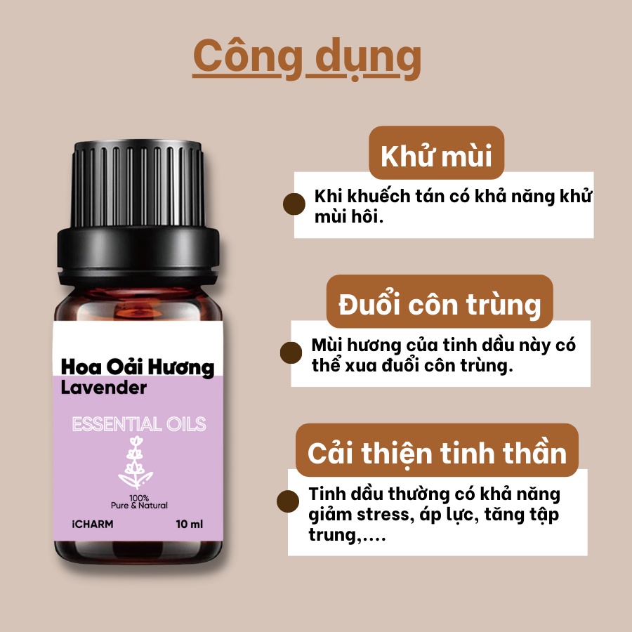 Tinh dầu hoa oải hương 10ml 50ml iCHARM - Nguyên chất 100%, không pha loãng, không tạp chất