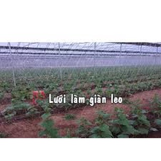 ❌❌Lưới làm gian leo, Lưới giàn mướp, lưới giàn leo bầu bí,