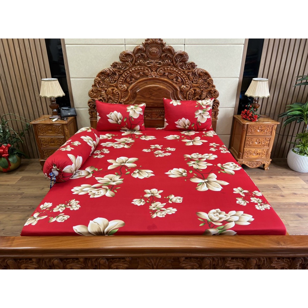 Bộ drap thun hàn vừa rẻ vừa đẹp