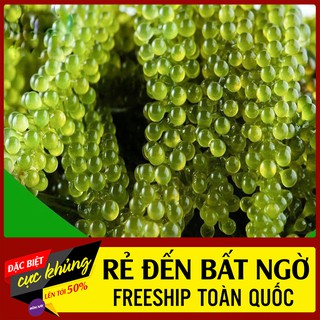 Rong nho tách nước - giữ dáng, đẹp da, thanh lọc cơ thể - gói 50gr tặng 1 gói Xốt mè rang KEWPIE 15ml.