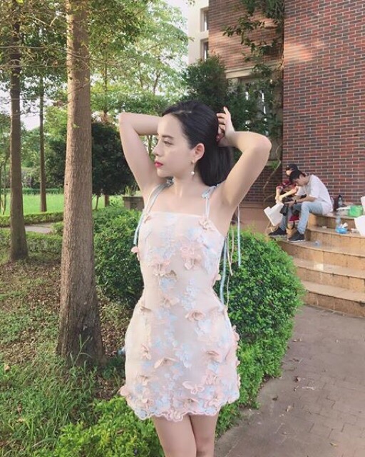 Váy 3D thêu hồ điệp cao cấp