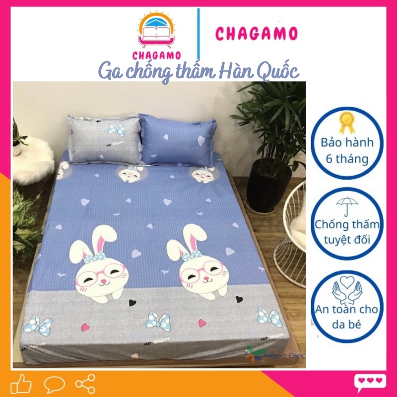 Ga Chống Thấm Nước Cotton HÀN QUỐC thoáng mát khử khuẩn dùng trực tiếp( nhiều mẫu)