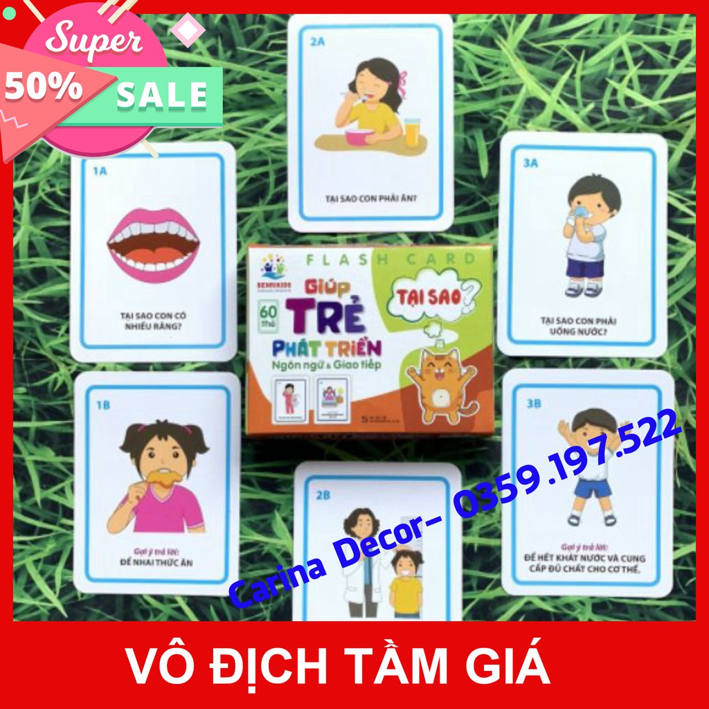 Flash card giúp trẻ tăng trưởng tiếng nói và giao tiếp: người nào? dòng gì? Ở đâu? khi nào? tại sao? - Carina Decor