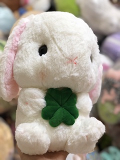 Thỏ cute đáng yêu (ảnh thật)