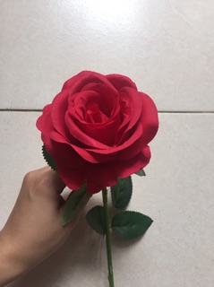 Hoa hồng lụa đẹp rực rỡ