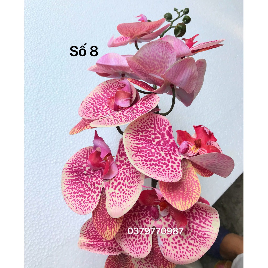 Hoa giả - Lan hồ điệp cao su 9 bông