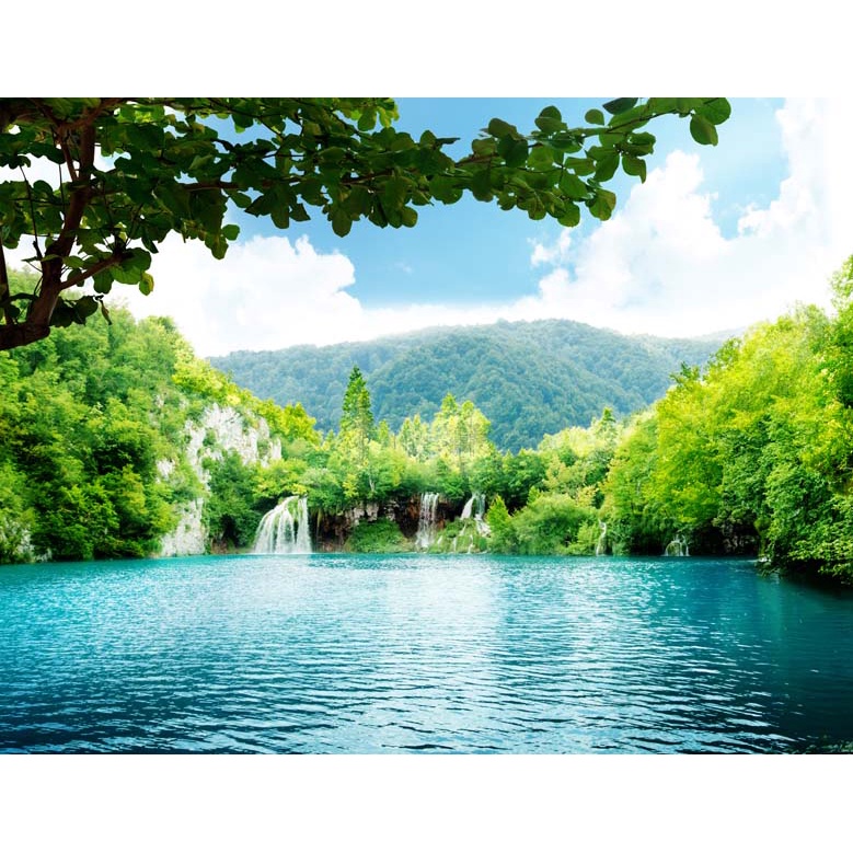 Tranh dán tường 3D cảnh thác nước hùng vỹ hòa với khung cảnh thiên nhiên xung quanh đẹp đến kinh ngạc