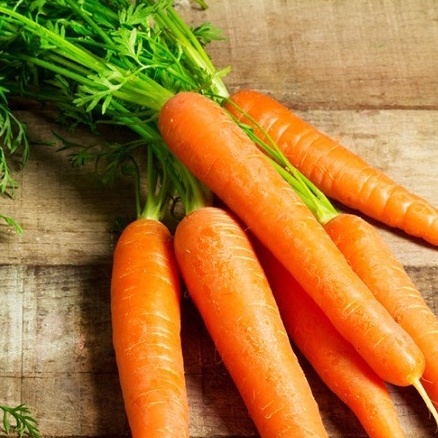 Hạt giống cà rốt- giống Công ty Tuyển chọn cho năng suất cao sinh trưởng khỏe NGUYÊN GÓI