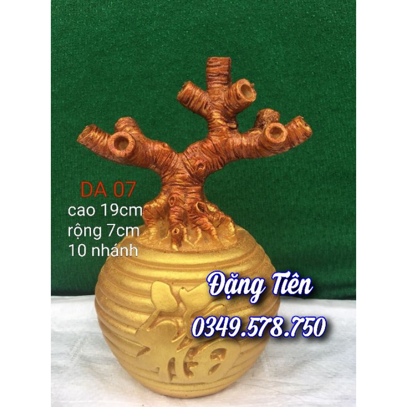 Gốc kim tiền - tài lộc - DA 07